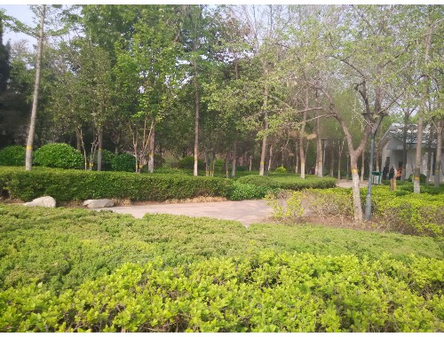 汉沽城市园林绿化管理条例