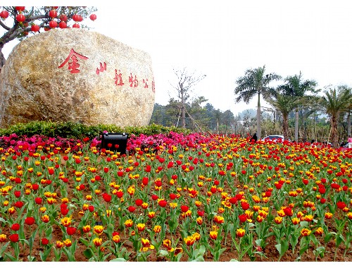 武汉市城市绿化条例的重要性