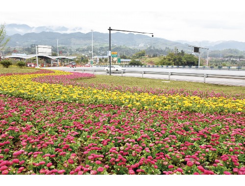 冷水江绿化苗木基地在哪个城市
