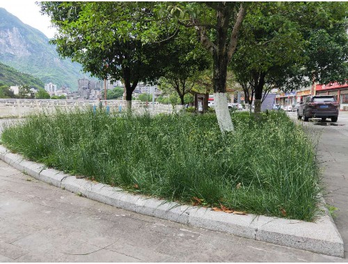 小区绿化工程资料总汇