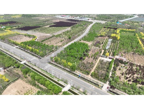 虞城城市绿化公司地址