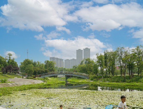 园林站验收绿化工程报告