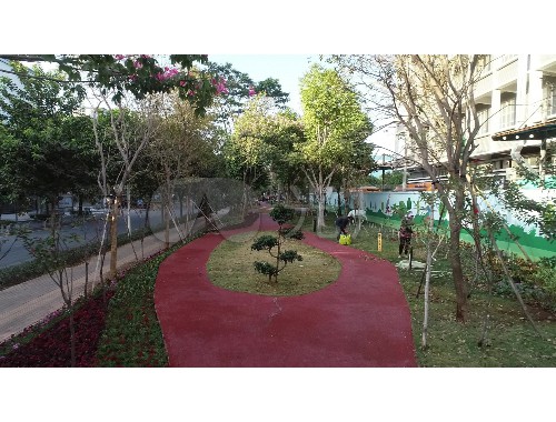 锡城市绿化专项整治